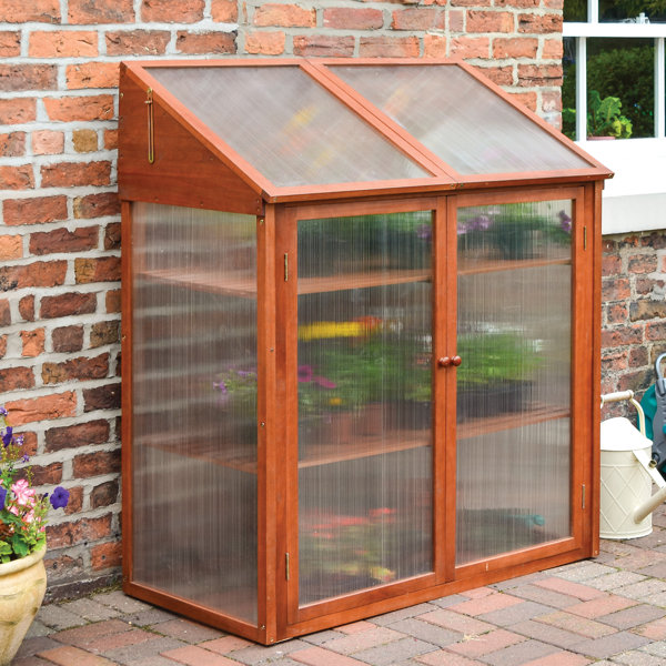 Dakota Fields Alexei Hardwood Mini Greenhouse & Reviews Wayfair.co.uk